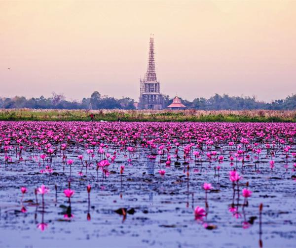 [新聞] 已被國人扎推的泰國，還有這些美到cry的小眾景點